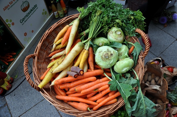 Entdeckertag2010   022.jpg